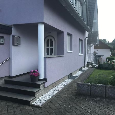 Ferien-/Monteurwohnung Am Ring Steinau an der Straße 외부 사진